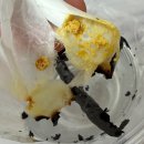 이봉 - 402927 | 귀뜸 이봉 후기, 집에서 간편하게 이명, 난청 치료 위해 뜸 관리해 본 내돈내산 리뷰