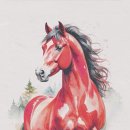 산호대로-60 | 2026년 신년운세 (어플 찐 후기, 임신 맞춘 신년운세, 2025년 신년운세 돌이켜보니)