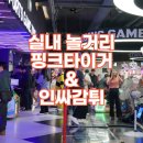 태성오토바이 | 평택 비전동 실내오락실 핑크타이거 방문 후기 시간제 요금으로 즐기는 실내 놀거리 & 간식은 인싸감튀