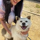 강화도 여행 숙소는 모드니펜션, 맛집까지 추천!