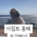 이집트경양식 이미지