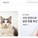 십일리터 이미지