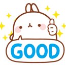 오끼416갤러리 이미지