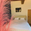 토끼집스테이 이미지