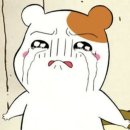 여름한컵 이미지