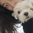 GS25 회기역점 | 다 커도 숙제는 계속 남아 있네