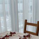 심바는 크리스마스 | 하남 아기 스튜디오 크리스마스 단체촬영 추천🎄 비다스튜디오