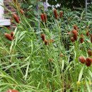 서광초등학교 이미지