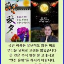 건강150세