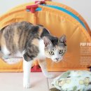 동물사랑애견샵 이미지