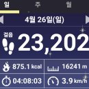 🔸🔸자연을 따라 가는 길 ...에스컬레이터 바위 &amp; 파랑새 바위 &amp; 사자 바위 2026. 04. 26(일요일) 벙주 조우🔸🔸 이미지