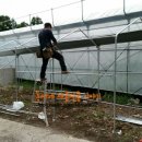 전진농장4 이미지