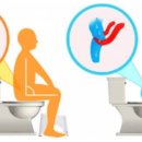 배변의기술 이미지