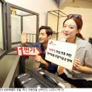 애견 11번가 이미지