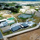 멍멍스쿨 이미지