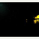 청산별곡 이미지