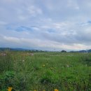 만성목장 이미지