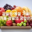 가을 과일에도 궁합이 맞는 것이 따로 있다? 이미지