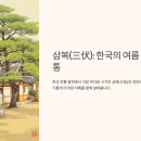 삼복 이미지