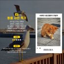 손사부 이미지