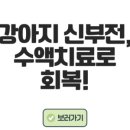 고성작은동물병원 이미지