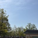 웬디랜드 | 에버랜드 산리오 콜라보 후기! 주말 사진 웨이팅 피하는 꿀팁 공개