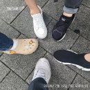다크호스스쿨 | 부자형아 코칭스쿨 1기 - 경기도 아파트 투자편(1) 후기