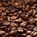 대보농장 | 과테말라 뉴오리엔테 워시드 커피원두, GUATEMALA NEW ORIENTE SHB Coffeebeans