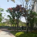 한라가든 이미지