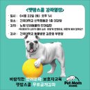 [반려인 교육] ★펫맘 스쿨 강좌일정★ 건국대학교 산학협동관 4월 22일(토) 오후 1시에 진행합니다. 많은 관심 부탁 드려요! 이미지