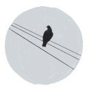 늘솜족발 이미지