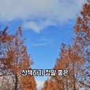 울림공원 농구장