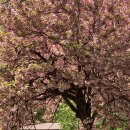 성산패총로-1 이미지