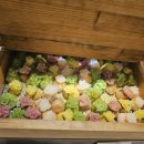 이비스앰배서더수원 이미지