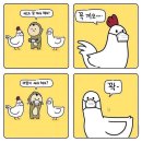 지금 마스크 사면 안되는 이유 이미지