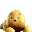 강아지똥 이미지