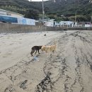 영산리경로당 네이버블로그