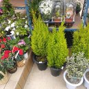 운정농약사 운정농원 이미지