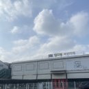 댕지트