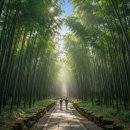 힐링S모텔 | 담양 죽녹원, 2026년 지금 가야 하는 이유? 숨겨진 매력 총정리!