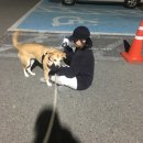 다다모모 이미지