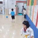 풍무 태권도장 이미지