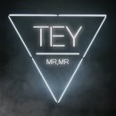 태이 이미지