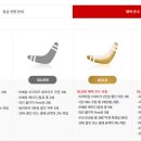 씨즐링