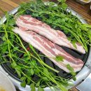 퐁요4길 이미지