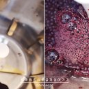 혁이네 농장 이미지