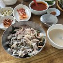 경주 용산회식당 회덮밥 초장 맛집! 일요일 웨이팅 주차