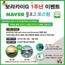 보라여행사 이미지