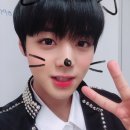 모이세 Daum카페