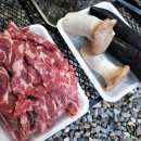 쪽빛하늘 캠핑장 이미지